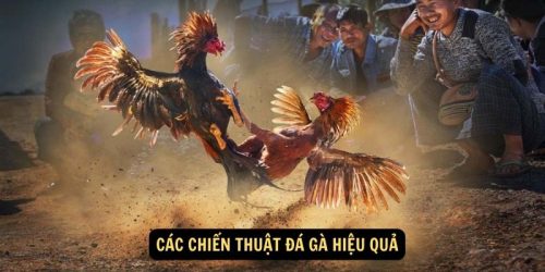 Cac chien thuat da ga hieu qua