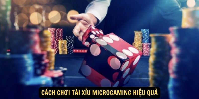 Cách chơi tài xỉu Microgaming hiệu quả