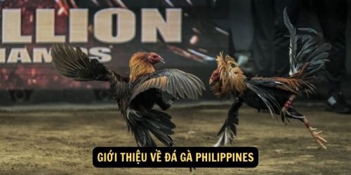 Gioi thieu ve da ga Philippines