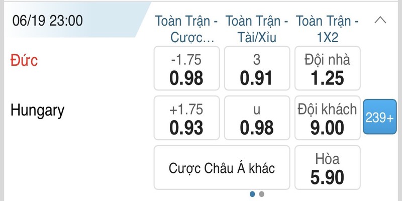 Bảng tỷ lệ cược bóng đá Tài Xỉu Đức vs Hungary